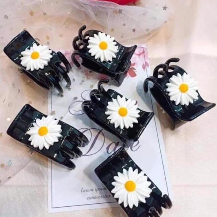 Cào tóc 3 răng 5 răng hoa cúc