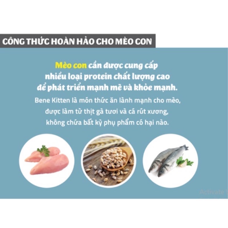 Thức ăn hạt mèo Natural Core Bene C1 Kitten mèo con - Mì Store