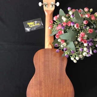 Đàn Ukulele soprano KLM
