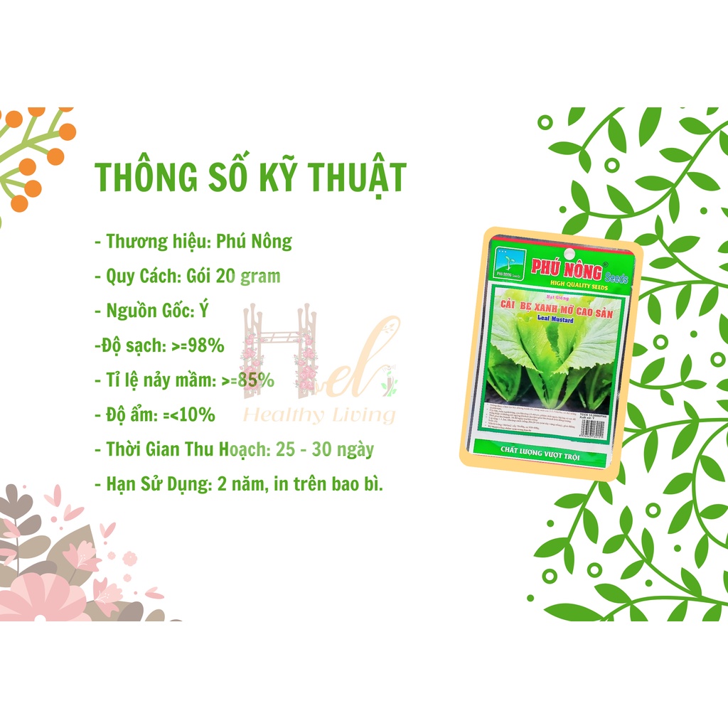 Hạt Giống Cải Bẹ Xanh Mỡ Cao Sản Dễ Trồng - Trồng Hạt Giống Rau Củ Quả Bằng Đất Sạch, Xơ Dừa, Mùn Dừa, Phân Bón Hữu Cơ