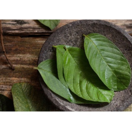 1kg lá ổi khô hàng loại 1