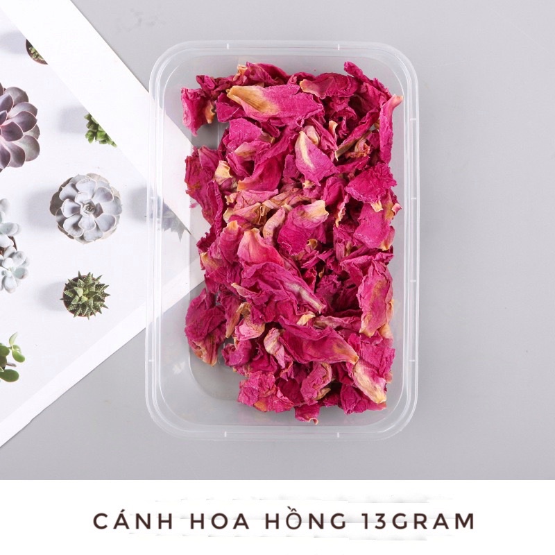 Vật liệu hoa khô/chanh khô/quế