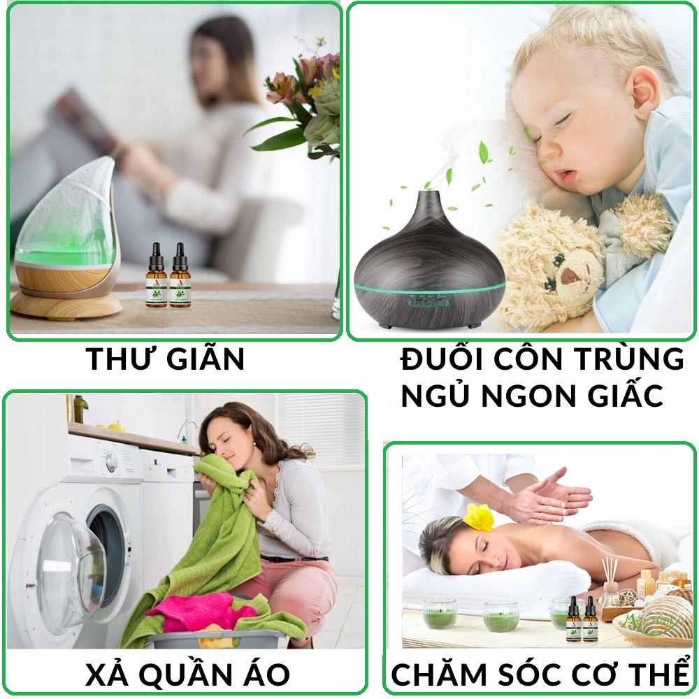 Tinh dầu Bạch đàn chanh DAVOS 10ml | Nhập khẩu Ấn độ | Hương thơm khử mùi + diệt khuẩn hiệu quả