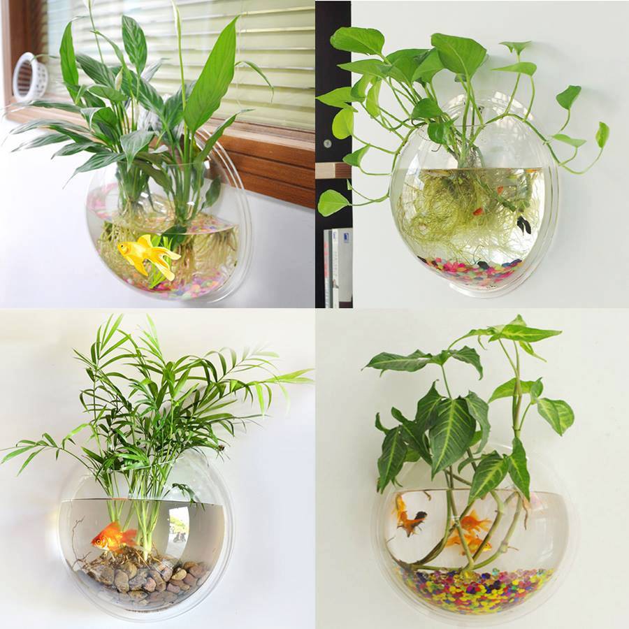 Bể cá cảnh Mini treo tường - Size 30