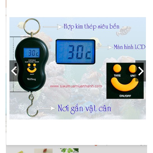 cân mini cầm tay tiện ích