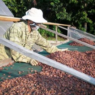 Ca cao nguyên chất Đăk Lăk 500g