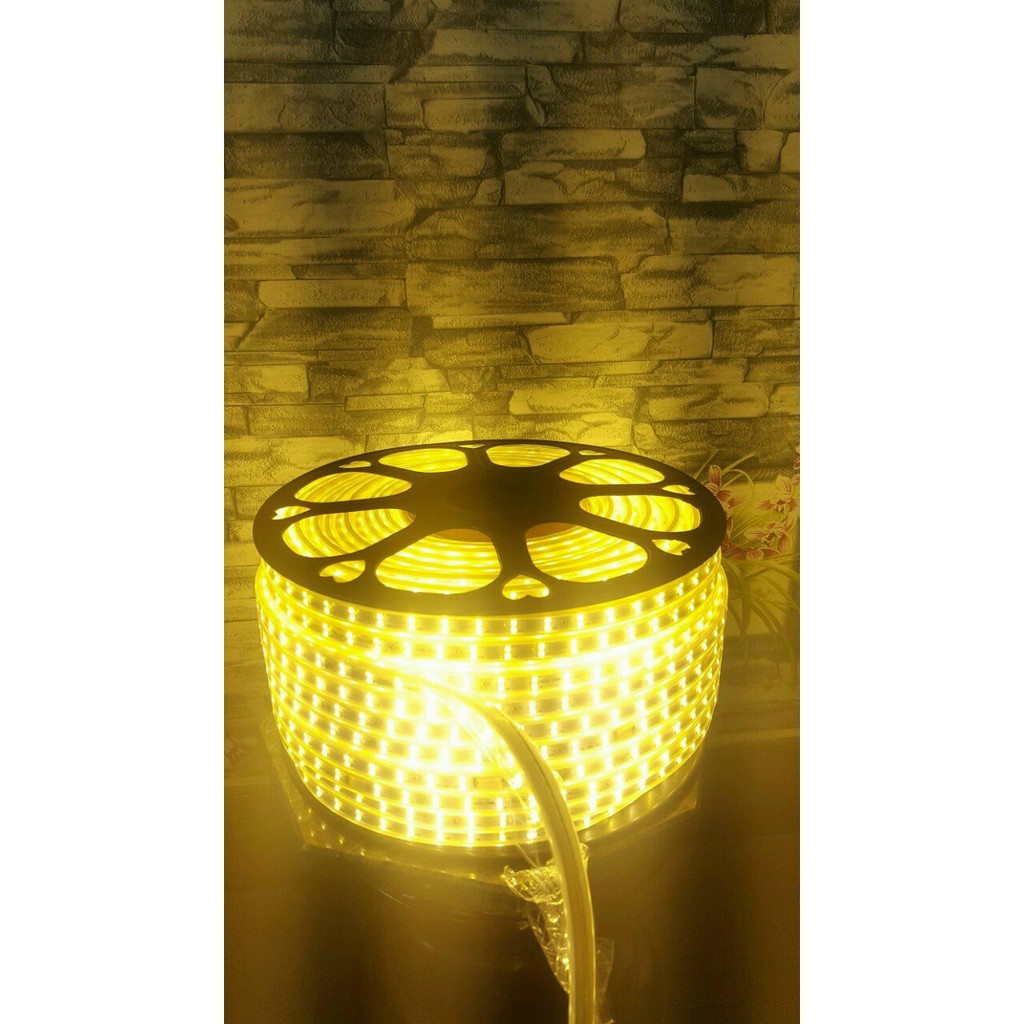 LED CUÔN 100 MÉT 2835