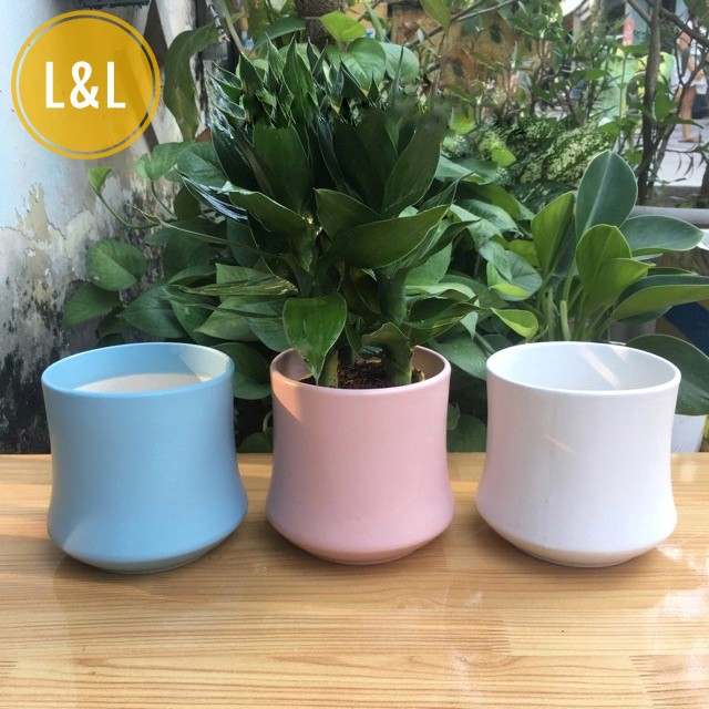 Chậu sứ Bát Tràng Hình Đốt Trúc Thấp  trồng cây Để Bàn, Cây Nội Thất, Sen Đá, Xương rồng, Cây Bon sai