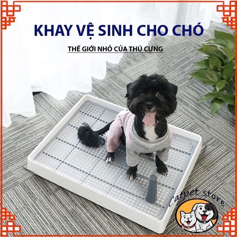 Khay vệ sinh cho chó mèo, khay huấn luyện chó đi vệ sinh đúng chỗ