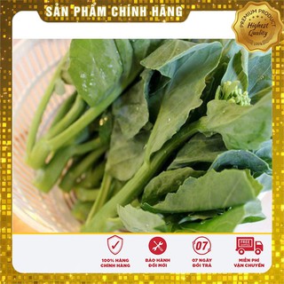 Hạt Giống Cải Làn Mập