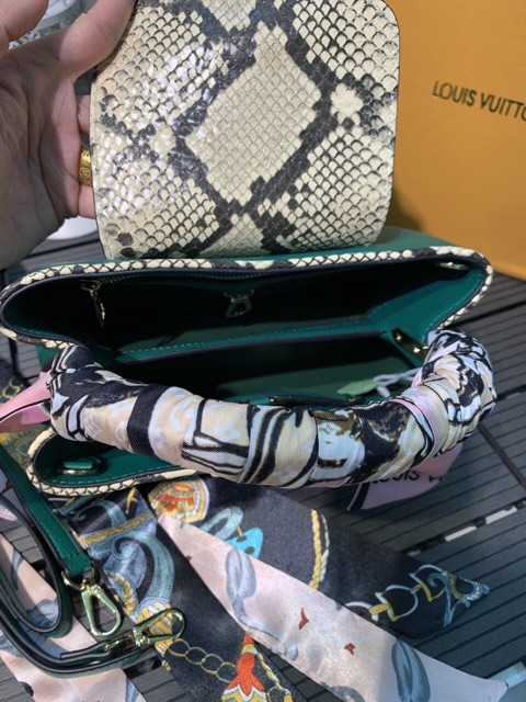 Túi Louisvuitton capuchino