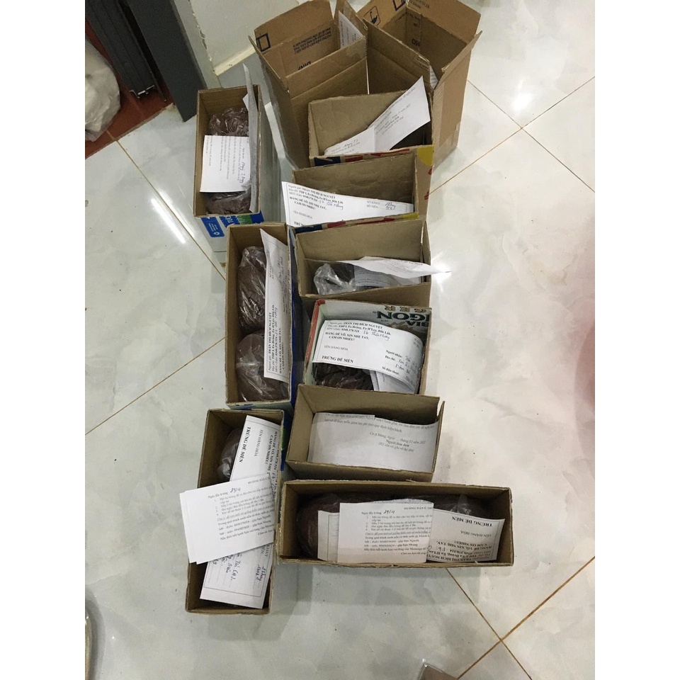 Trứng dế mèn Thái vàng