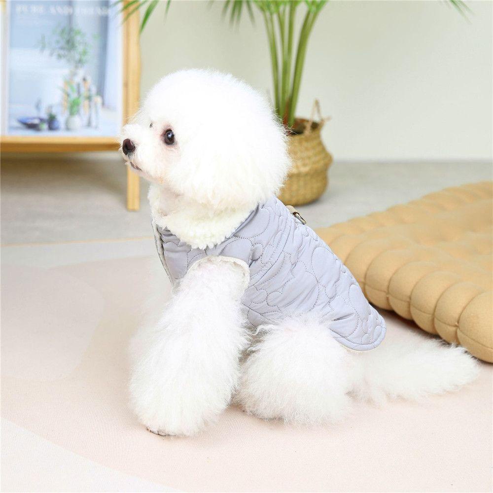 Áo Khoác Mùa Đông Cho Thú Cưng In Họa Tiết Hoạt Hình Chó Chihuahua