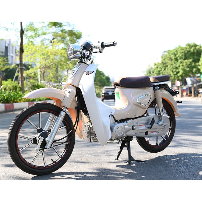 Xe số 50cc Cub 81 Ally New - vành đúc - 2021