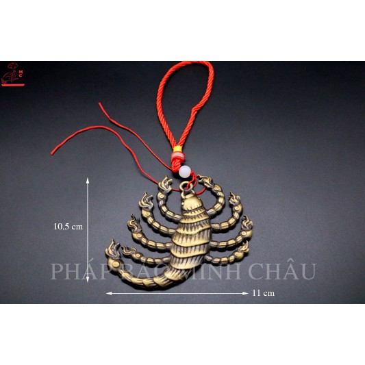 CỬU ĐẦU TRÙNG TO (VÀNG - ĐEN)