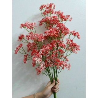 cành điểm hạt mây _hàng thanh lý