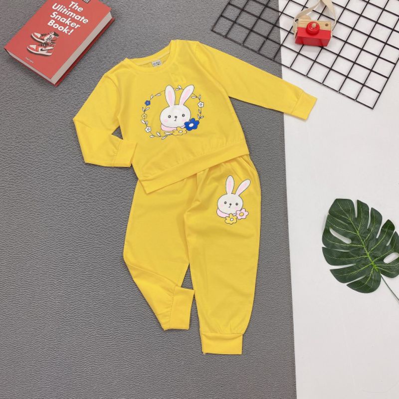 Bộ ngủ tay dài mùa mưa thu đông thun cotton 4 chiều in thỏ dễ thương 8-24kg