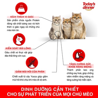 Today's Dinner - Thức ăn hạt CHO MÈO Mọi Lứa Tuổi 40Gr