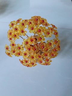 Cây kim tiền( thần tài)