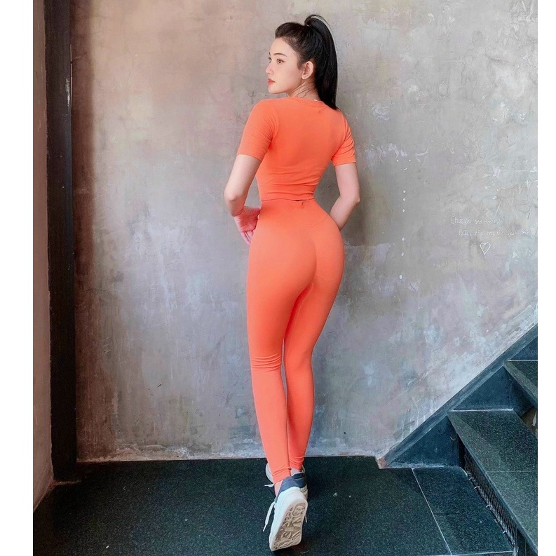 Set đồ tập gym yoga thể thao nữ dệt kim áo crop quần dài cao cấp hàng nhập Bin Sports BD159