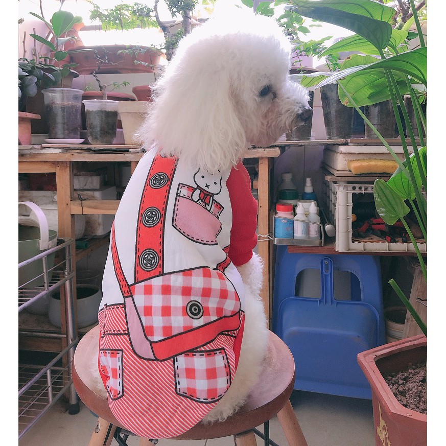 Quần áo cho chó mèo chất nỉ từ 1-7kg form nhỏ