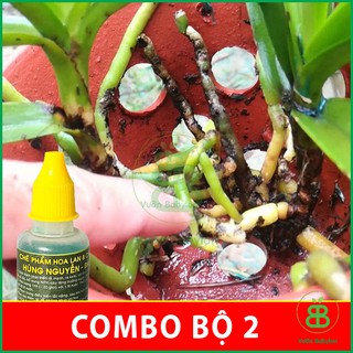 Combo 2 Chai Chế Phẩm Hùng Nguyễn 6in1, Giúp Cây Sinh Trưởng Tốt, Tăng Đề Kháng, Chuyên Dùng cho Phong lan Vuonbabylon 
