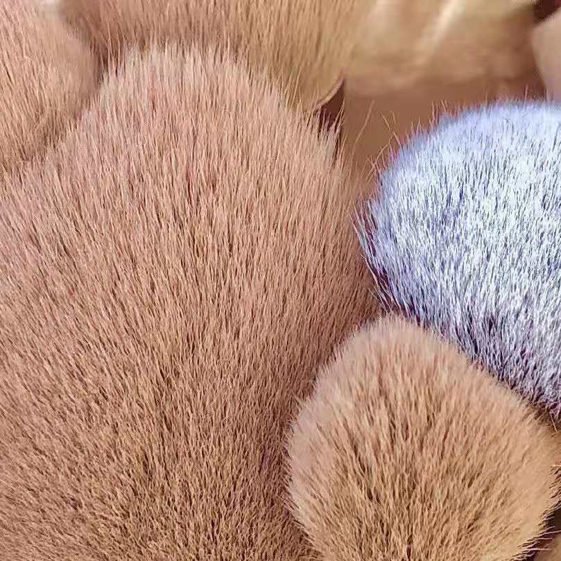 Li Jiaqi Đề xuất Beauty Girl Heart Makeup Set Brush Soft Glare Film Brush Powder Brush Set Beginner Soft Brush | BigBuy360 - bigbuy360.vn