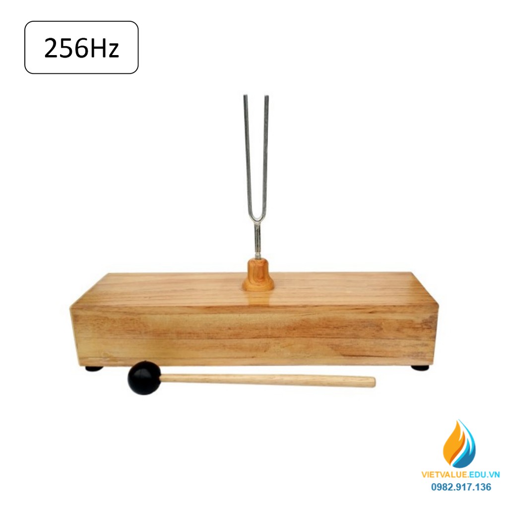 Âm thoa dao động tạo tần số 256Hz, âm thoa vật lý gồm búa cao su đi kèm