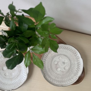Dĩa gốm Nhật cho bàn ăn thêm xinh