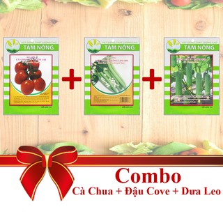 [Combo 3 Gói Hạt Giống] Đậu Cove + Cà Chua + Dưa Leo