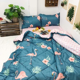 set phao poly nhập