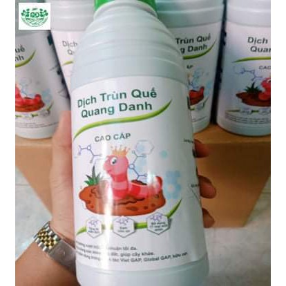 DỊCH TRÙN QUẾ QUANG DANH 0,5L