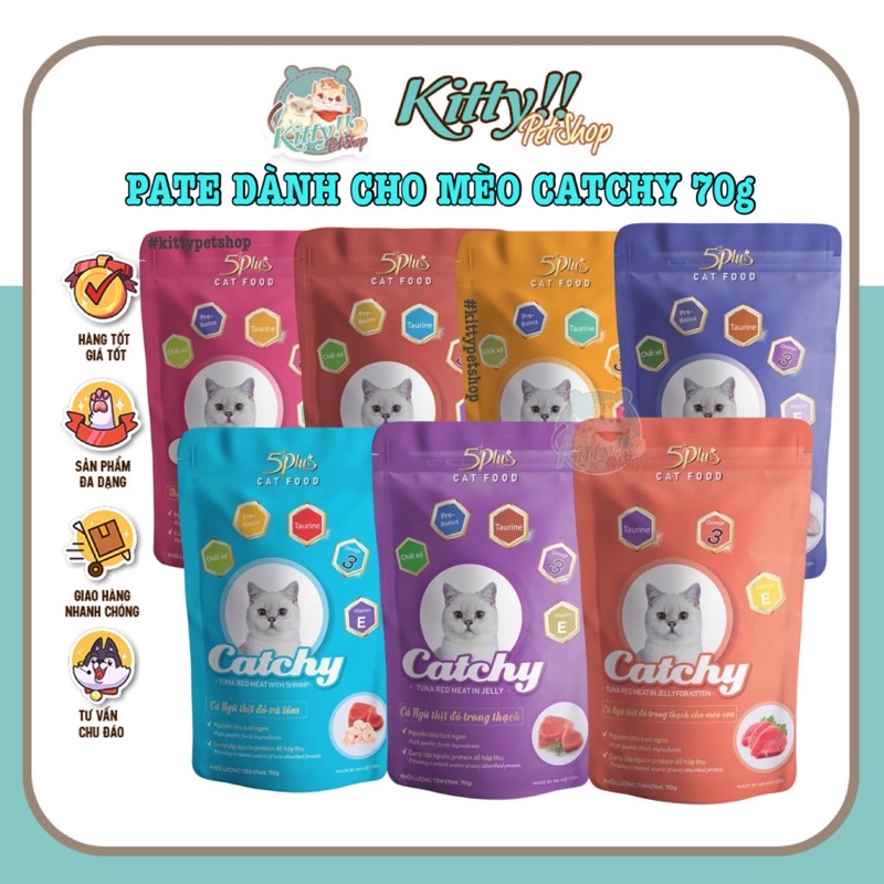 Pate Catchy 5 plus dành cho mèo, thức ăn dạng ướt cho mèo nhiều vị 70g