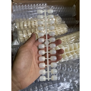Móng mẫu vuông tập vẽ