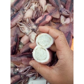[ PHÚ NHUẬN] MỰC SIM TRỨNG 1 KG