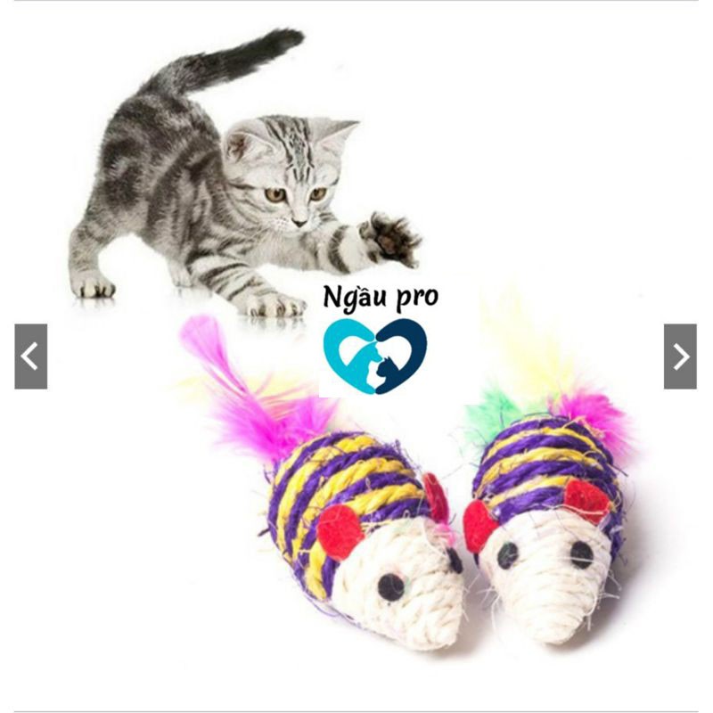 Đồ Chơi thú cưng: đồ chơi cho mèo giảm stress hình con Chuột Bện Thừng Cói Đuôi Lông