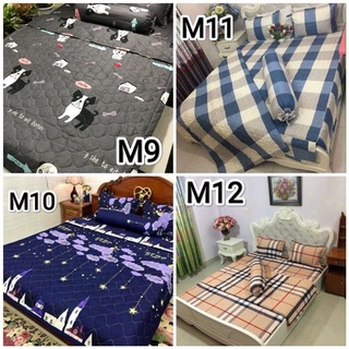 Sét 3 món ga và 2 gối Poly Cotton