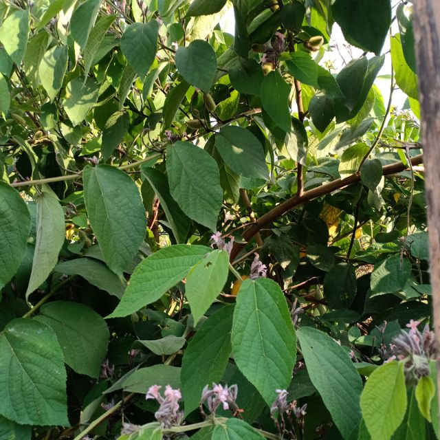 c974dqdnxl, Cửa hàng trực tuyến | BigBuy360 - bigbuy360.vn