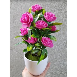 Chậu hoa hồng xinh trang trí