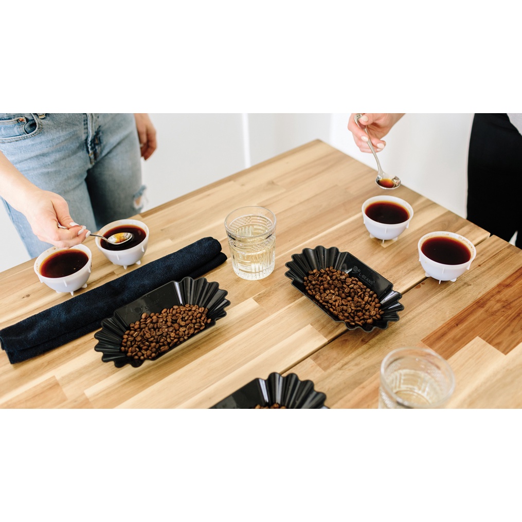 KHAY NHỰA CHỨA HẠT CÀ PHÊ COFFEE CUPPING SAMPLE TRAY – BLACK