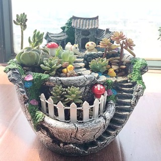 Chậu cây cảnh độc đáo