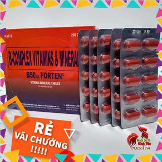 Thuốc nuôi gà đá b-complex b50/2 forten cung vitamin và khoáng chất cần thiết