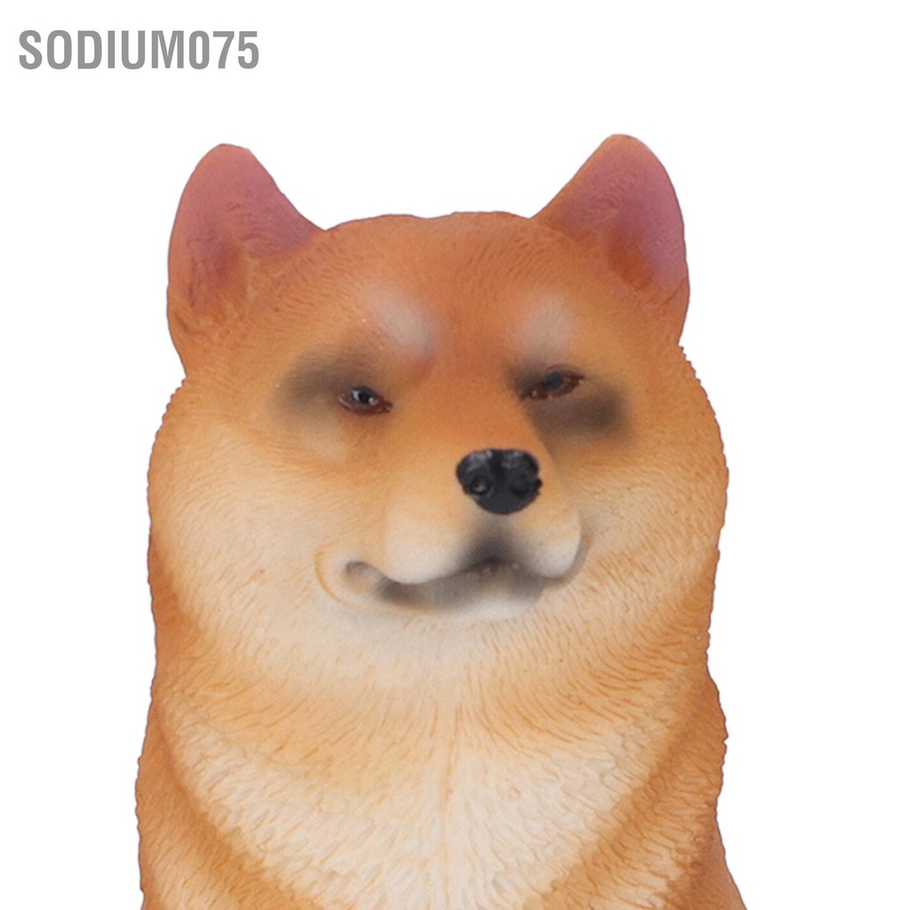 Sodium075 Dog Figurine Sống động như thật Không độc hại Đồ chơi trẻ em Mô hình vật bằng nhựa Trang trí cho Phòng ngủ Nghiên cứu