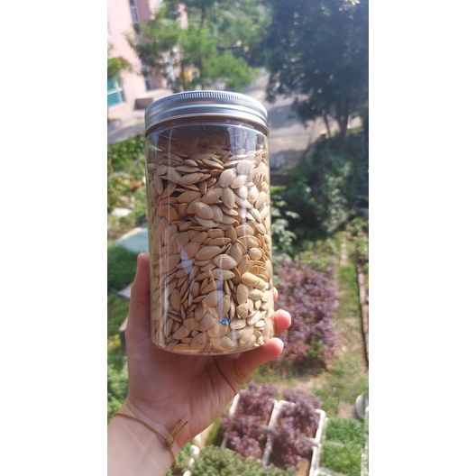 500g hạt bí trắng rang