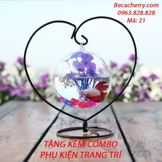 Bể Cá Mini Phong Thủy Hình Trái Tim 21 ( Tặng kèm combo phụ kiện trang trí )