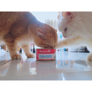 [190g] Pate cho mèo Hello Cat (Pate tươi, pate cho mèo giá rẻ)