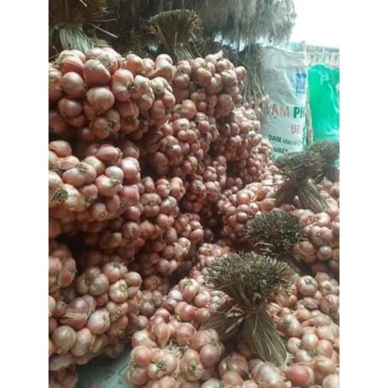 Hành khô 500g