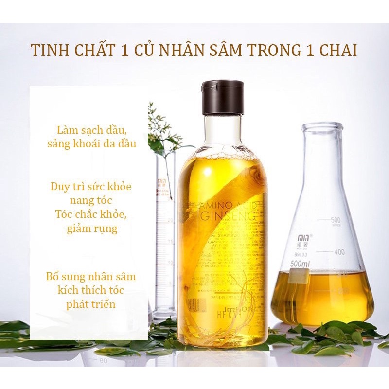 Dầu gội đầu sâm HEXZE nuôi dưỡng giảm rụng tóc, kích thích mọc tóc