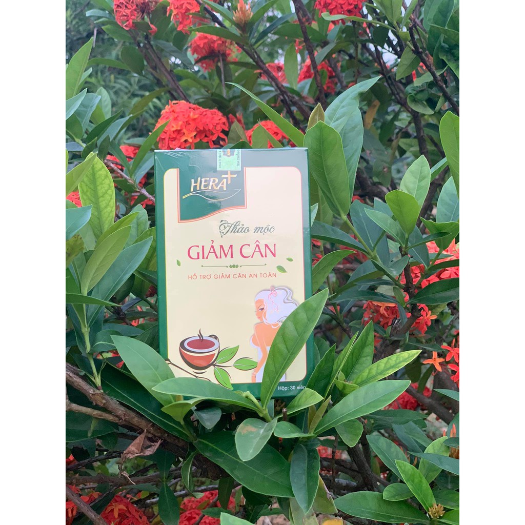 Giảm cân HERA, giảm cân cấp tốc, nhanh, an toàn, hiệu quả, không mệt mỏi. | BigBuy360 - bigbuy360.vn