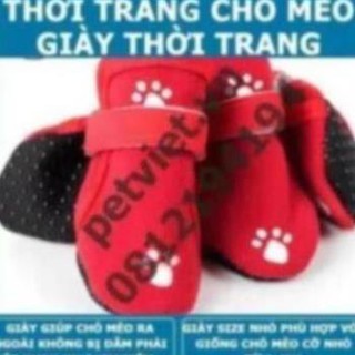 Giày cho chó mèo - phù hợp với chó mèo  dưới 4kg - họa tiết bàn chân cún